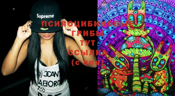 ECSTASY Майский