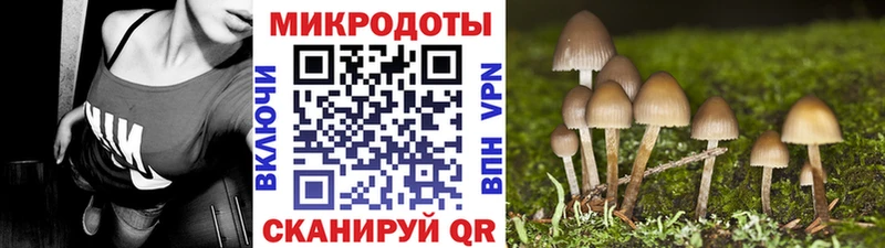 Псилоцибиновые грибы Cubensis  Купить закладки  Лыткарино 